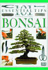 Essential Tips  Bonsai.gif (12701 bytes)